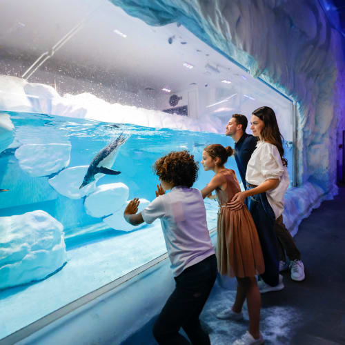 Dubai Aquarium and Underwater Zoo