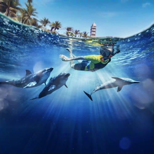 Dolphin Bay Atlantis